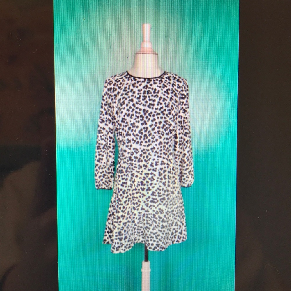 Loft leopard print dress